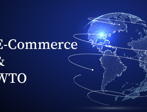 Global E-Commerce and the WTO: Navigating the Digital Marketplace