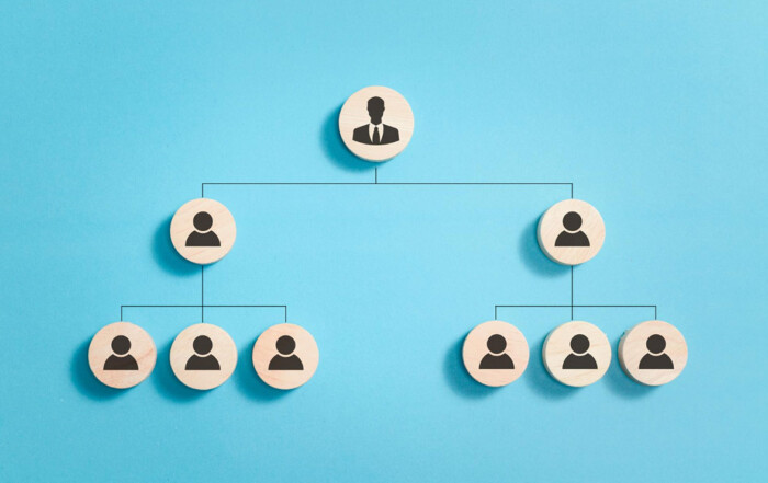 What Is the Model Law Firm Hierarchy and Structure?